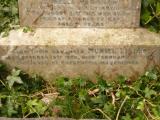image of grave number 808891
